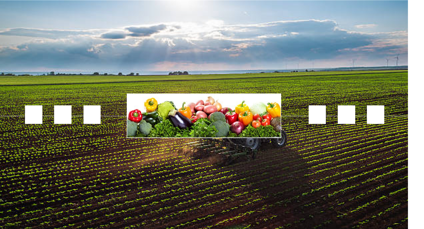 Blockchain in the fields. A paradigm shift in food safety and… | by THRIVE  Venture & Innovation | Medium