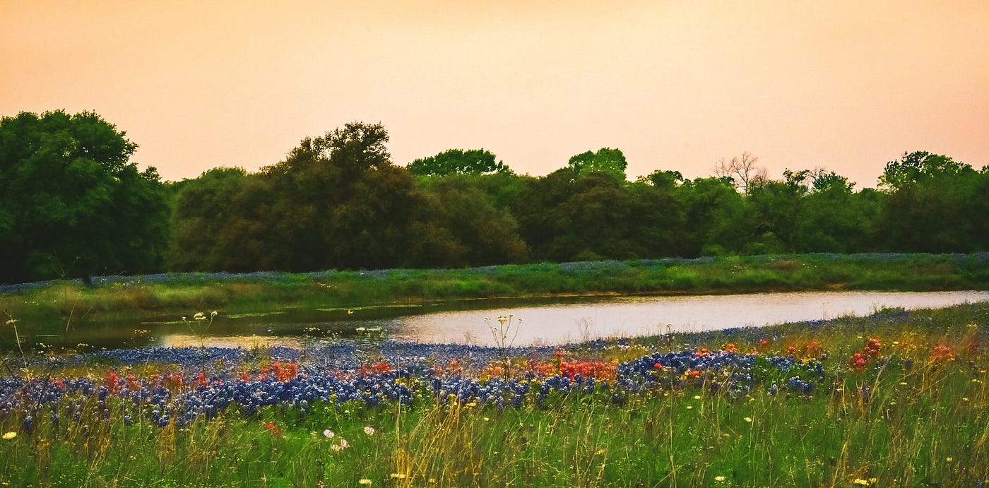 Land Trusts: Benefits + Considerations
