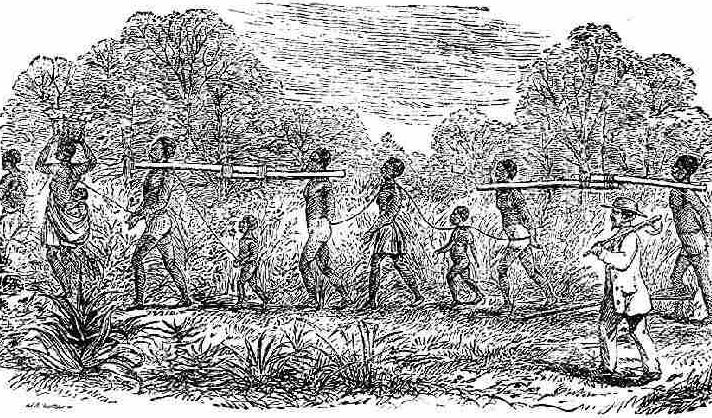 712px x 418px - Slave Breeding & Children of the Plantation â€” The Dark History of America |  by Krishna V Chaudhary | Lessons from History | Medium