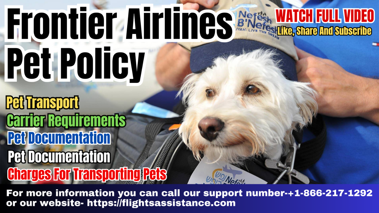 Frontier airlines 2025 pet travel requirements