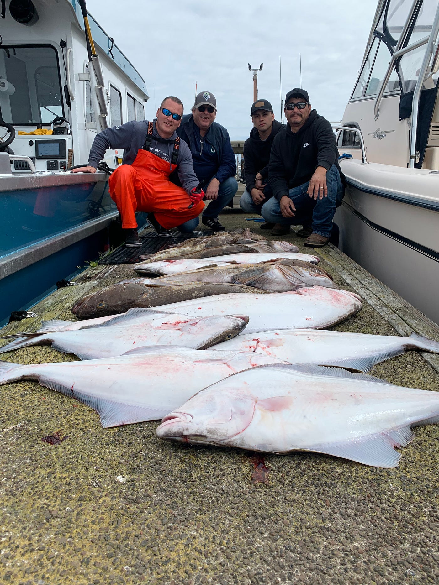 Halibut fishing season arrives in Washington