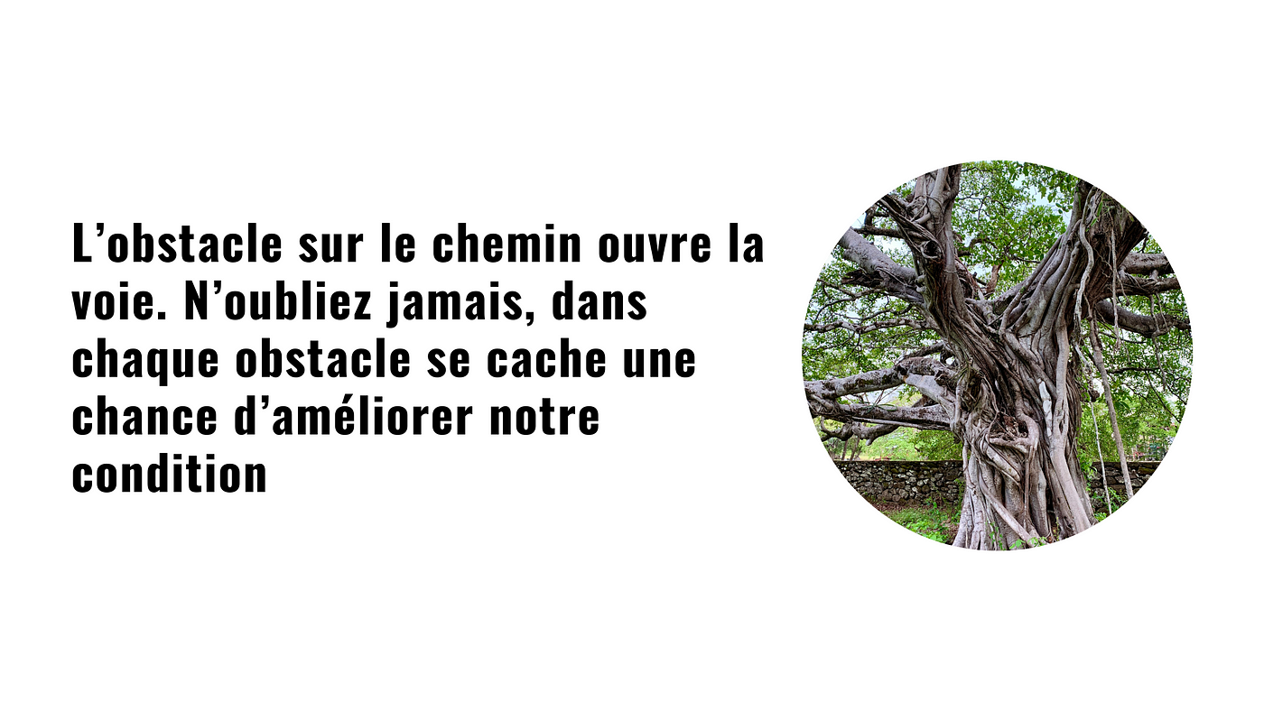 L'obstacle est le chemin (les leçons du stoïcisme)