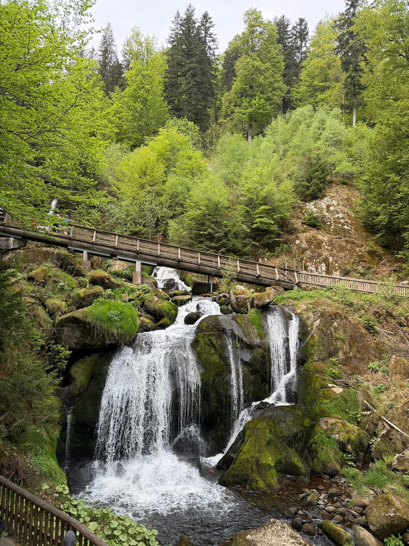 A Breath of Black Forest Air: Our First Family Getaway
