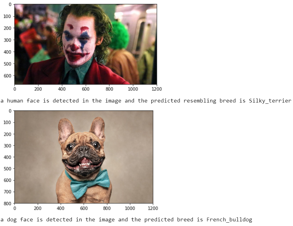 Dog Breed Image Classification Using Transfer Learning
