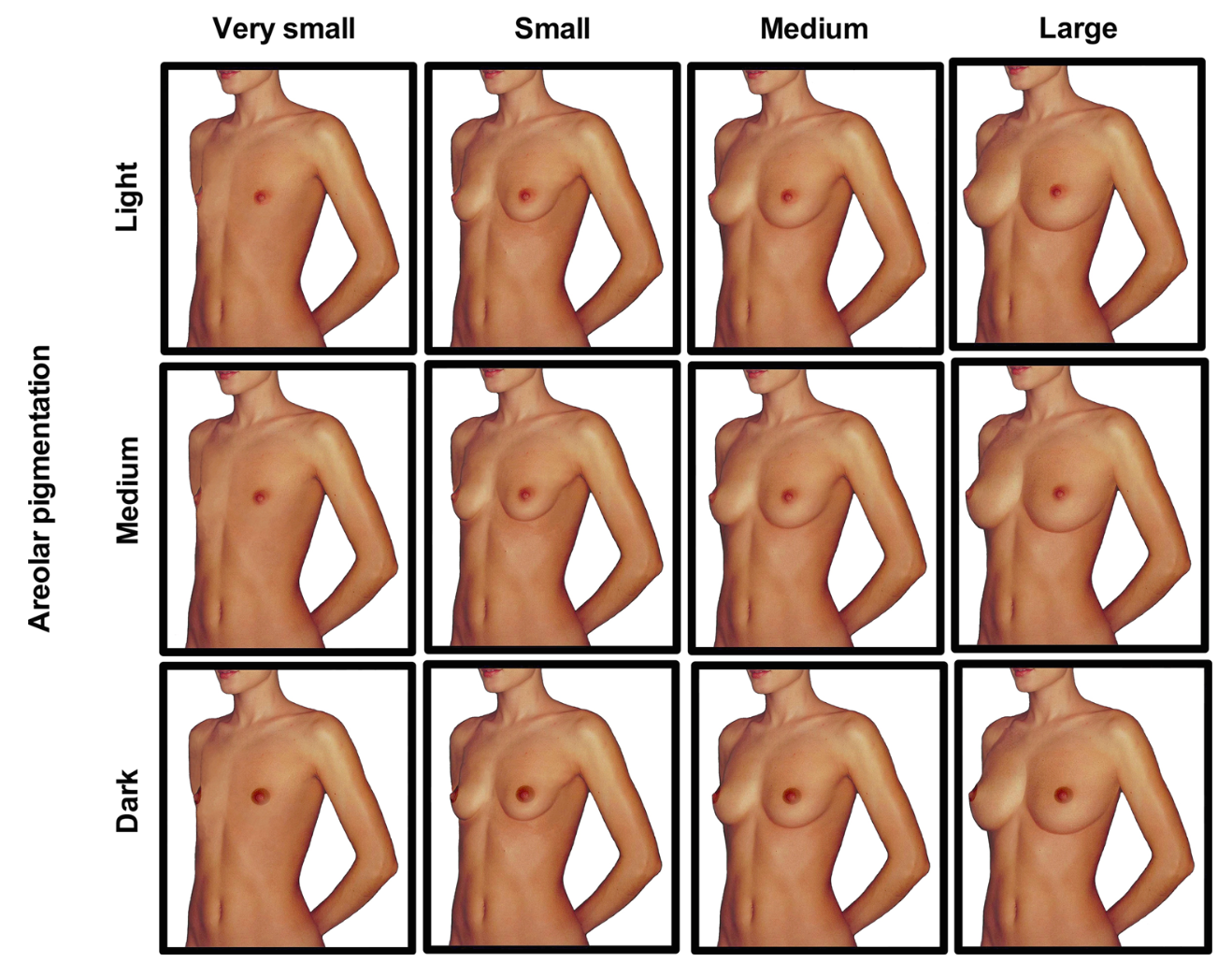 Are Bigger Breasts Best?. A scientific study of men's and women's… | by Dr.  Robert Burriss | Medium