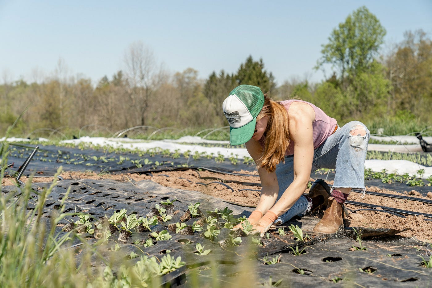 A Fusion of Foreign Culture and Local Agriculture: Liu Mulian’s Cocoa Entrepreneurship Journey