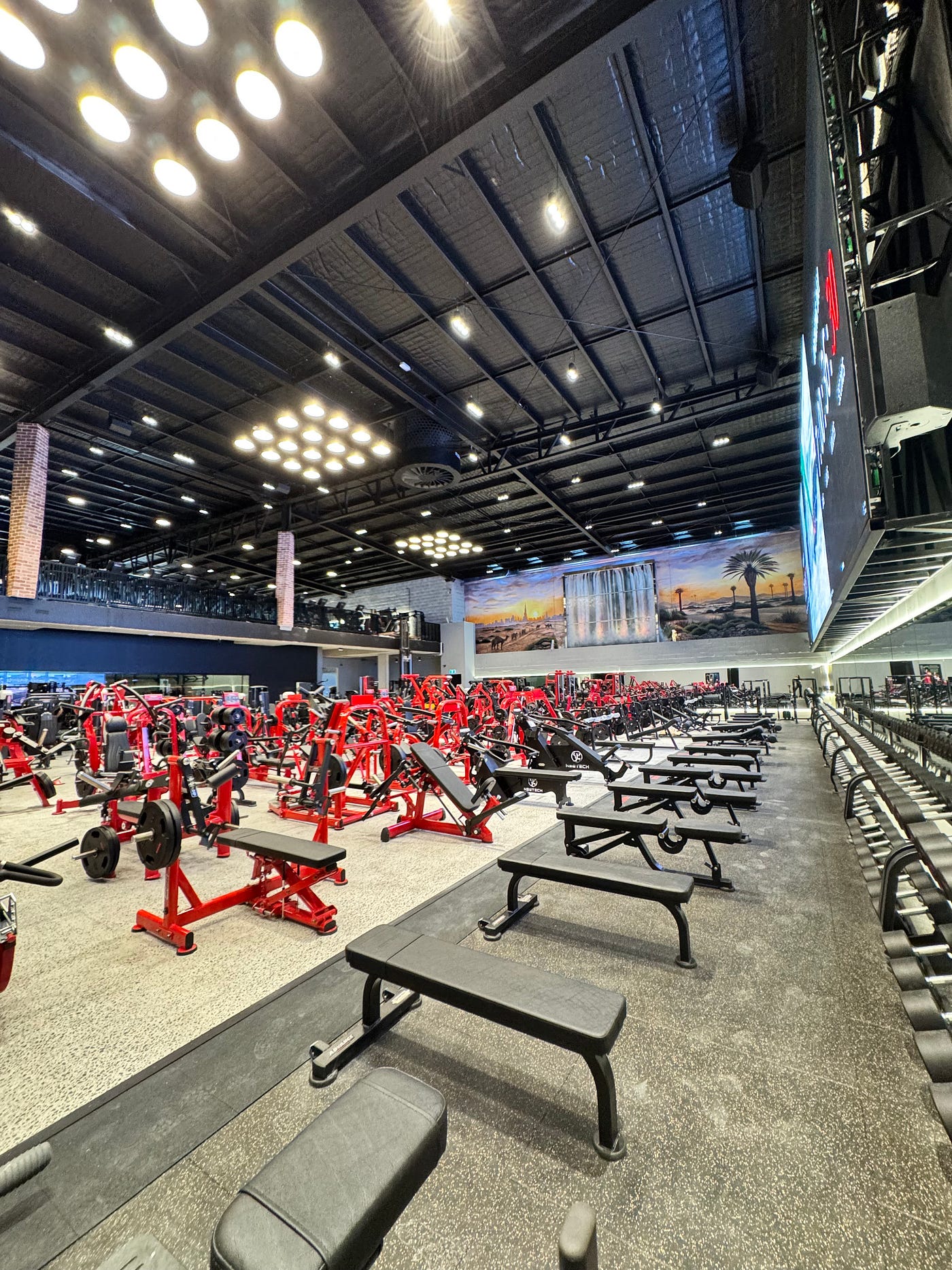 Discover the Best Gym in Logan, QLD with Oxygen Gyms
