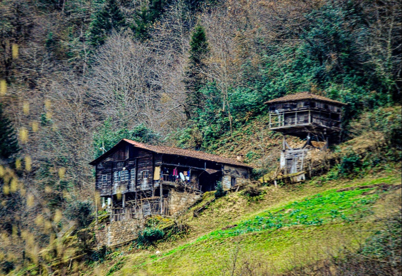 Türkiye’nin Saklı Cennetleri: Yayla Turizminin Tarihi, Bugünü ve Geleceği