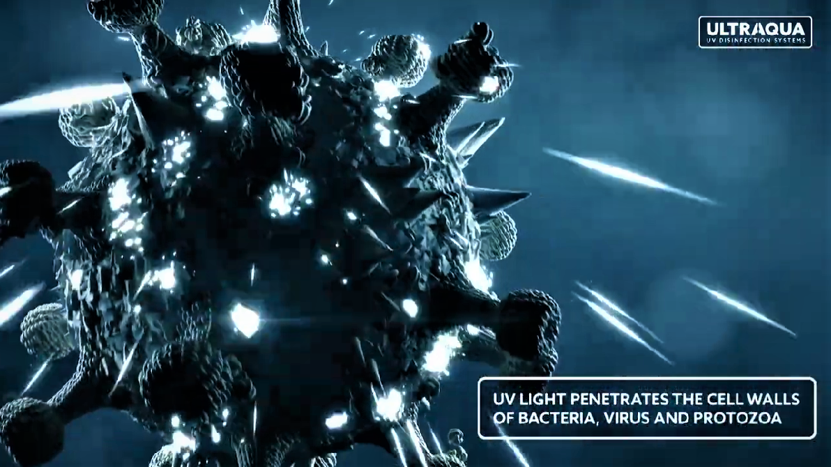 Does UV Light Kill Bacteria & Virus in Water? - ULTRAAQUA