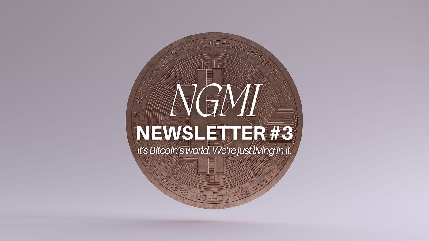 Bitcoin + BlackRock = Big Bull Market — NGMI Newsletter #3 | by Tom  Mitchelhill | NGMI Newsletter | Medium