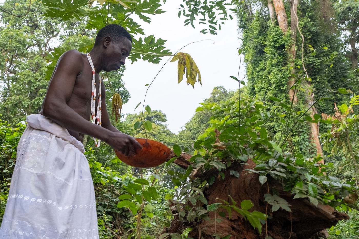 Vodun Festival