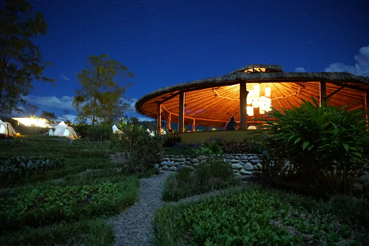 Ayahuasca Retreat What It's Really Like—And How To, 50 OFF