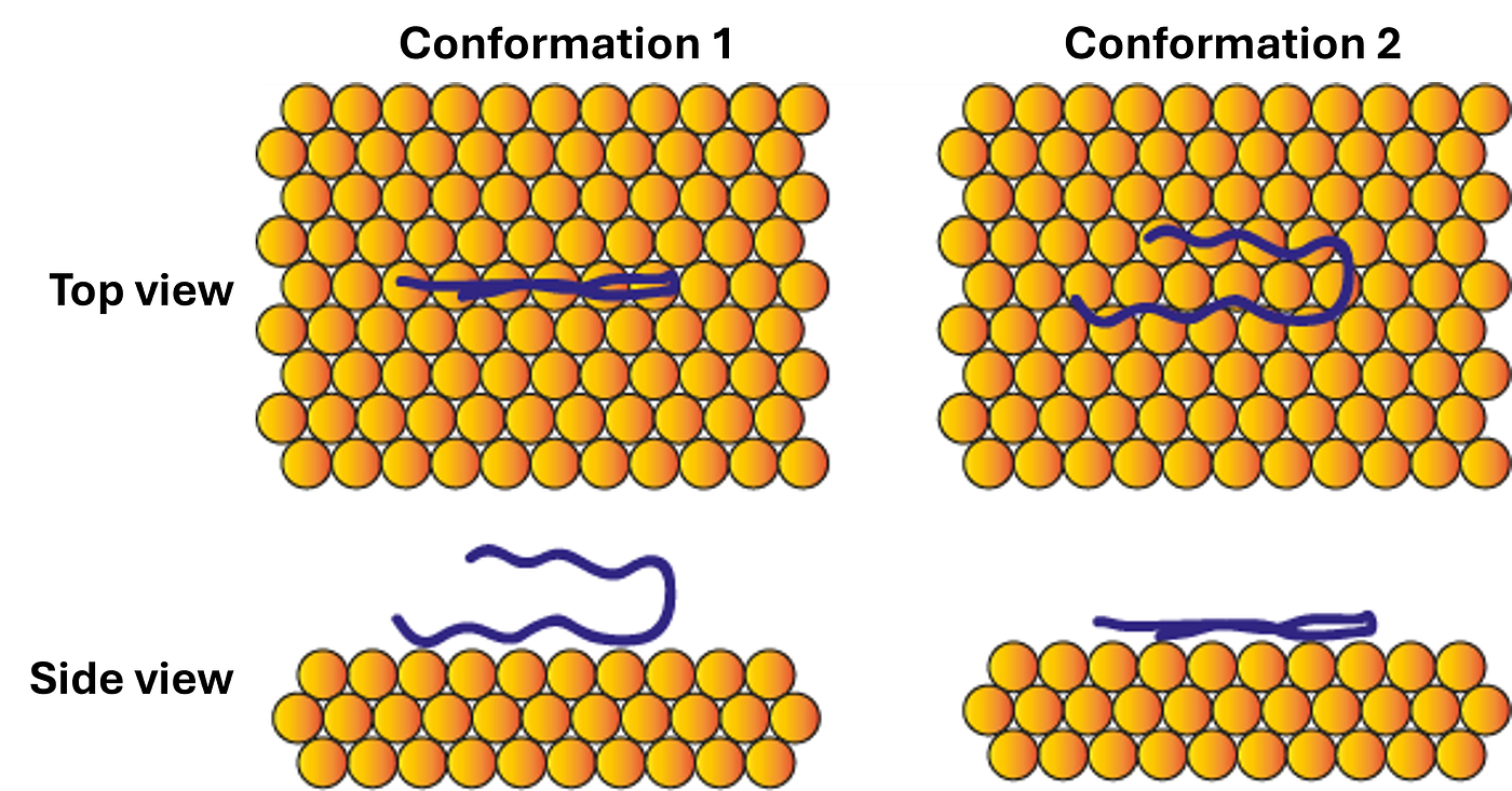 Beyond the Radius of Gyration: Why Compactness doesn’t Equal Binding Affinity