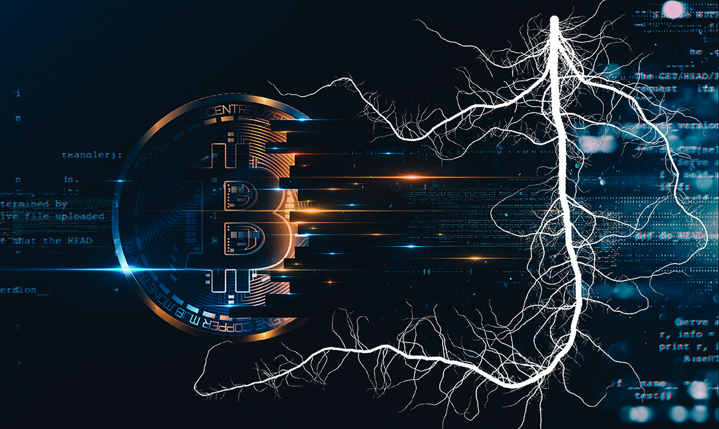 KOR_DEAD_MEOWs] Are you dead or alive? | by Chill | Medium