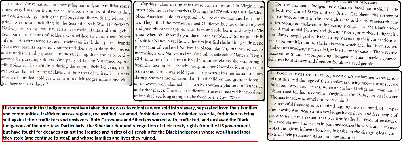 Image excerpted from: Fisher, Linford D. Stealing America: The Hidden Story of Indigenous Slavery in U.S. History. New York: Liveright Publishing Corporation, 2026.