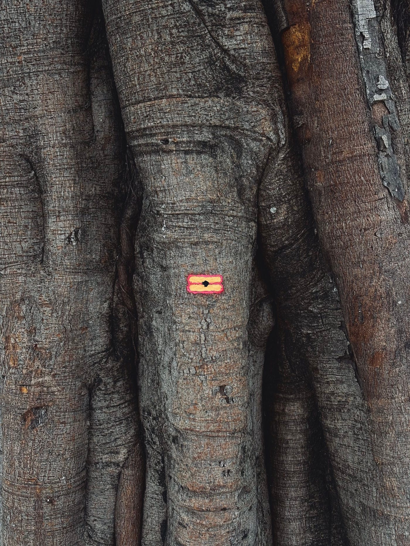 Minimal shringar: Tilak on Ashwattha Tree