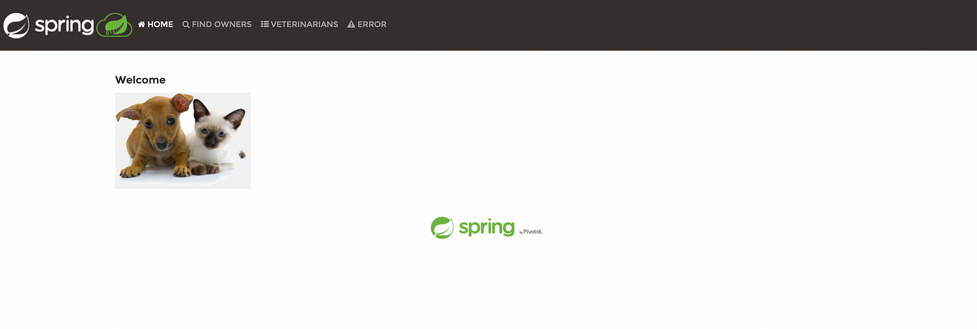 Spring outlet framework petclinic