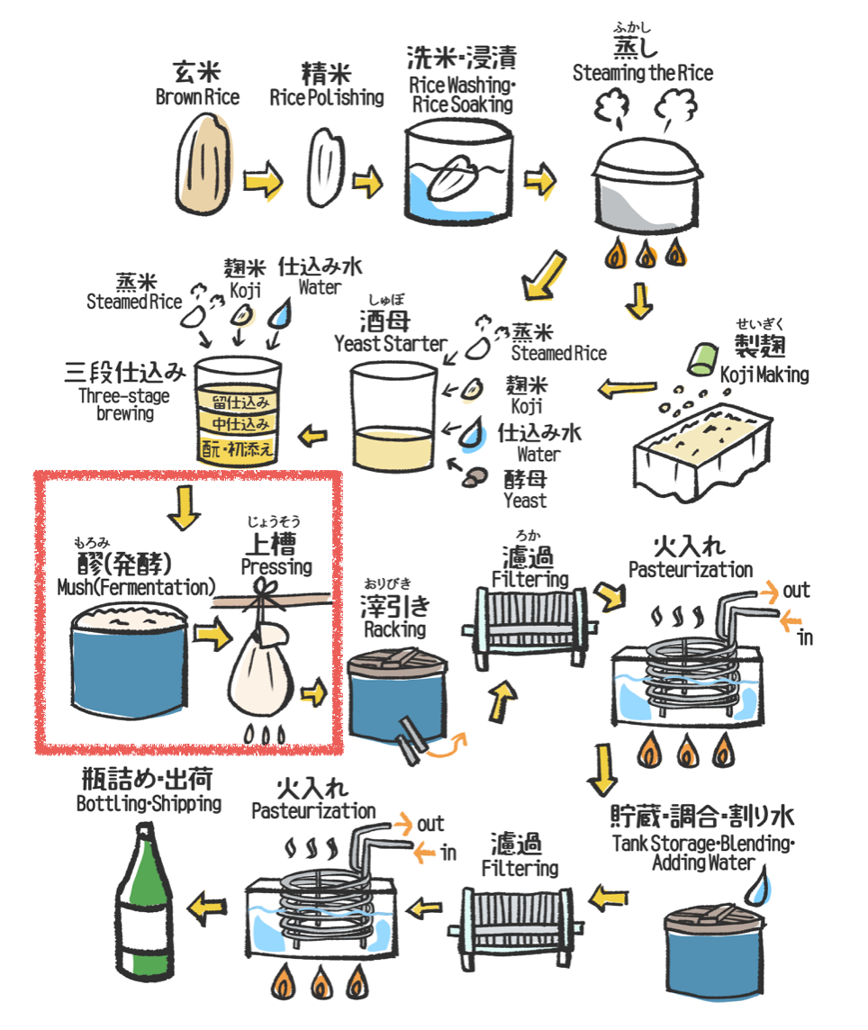 長篇專欄】清酒上槽、壓榨之方法- 越後の苦辣必多- Medium