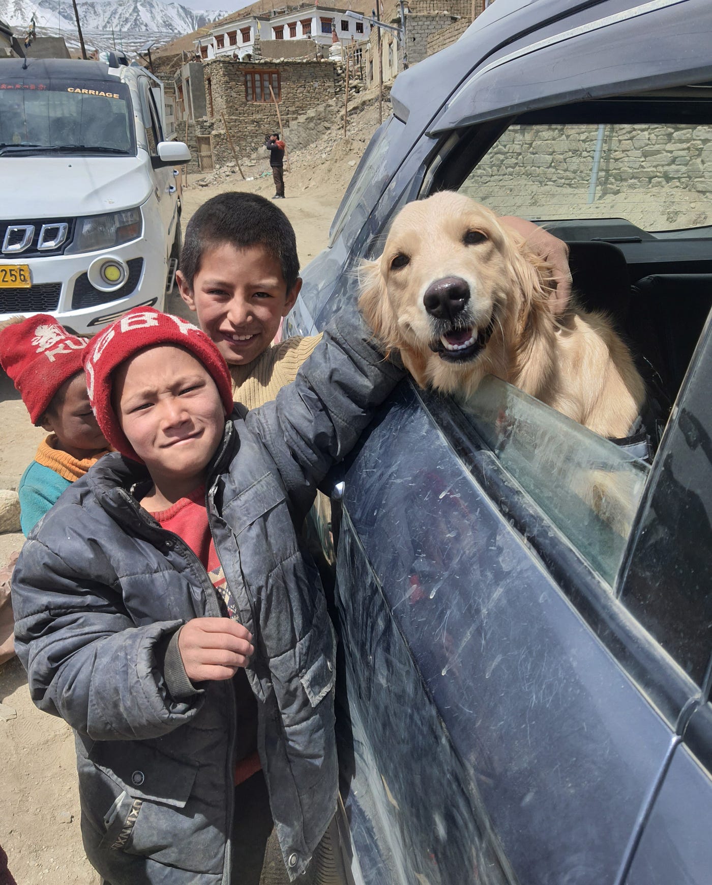 Travelling With Dogs: Ultimate Tips for Stress-Free Adventures