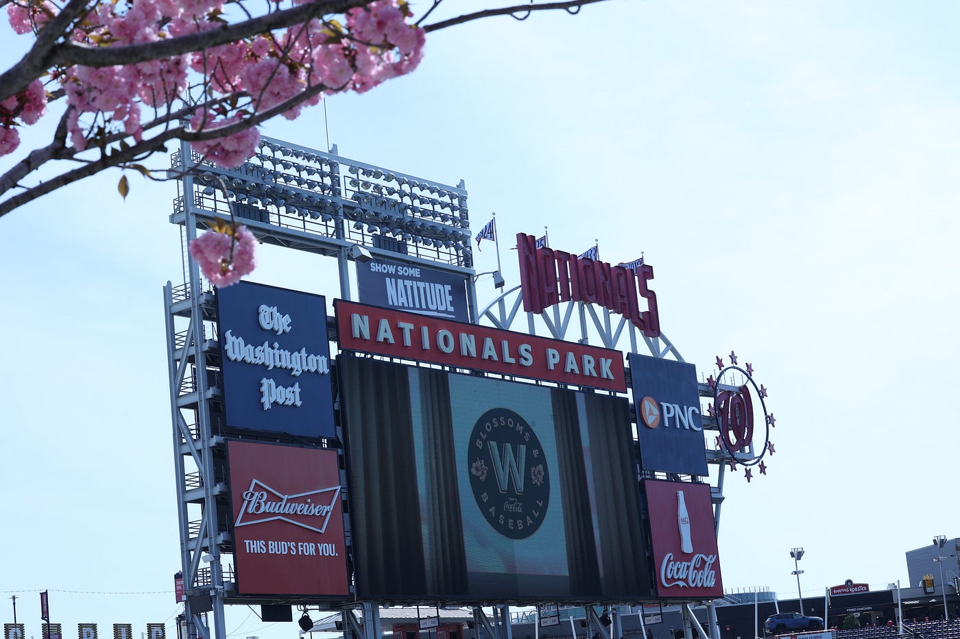 Washington Nationals set new sales record on City Connect Cherry Blossom  jersey