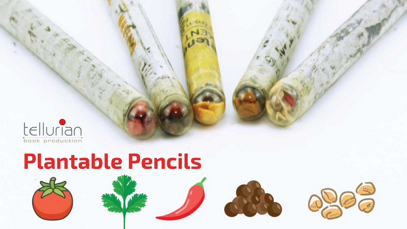 Seed pencil 2024