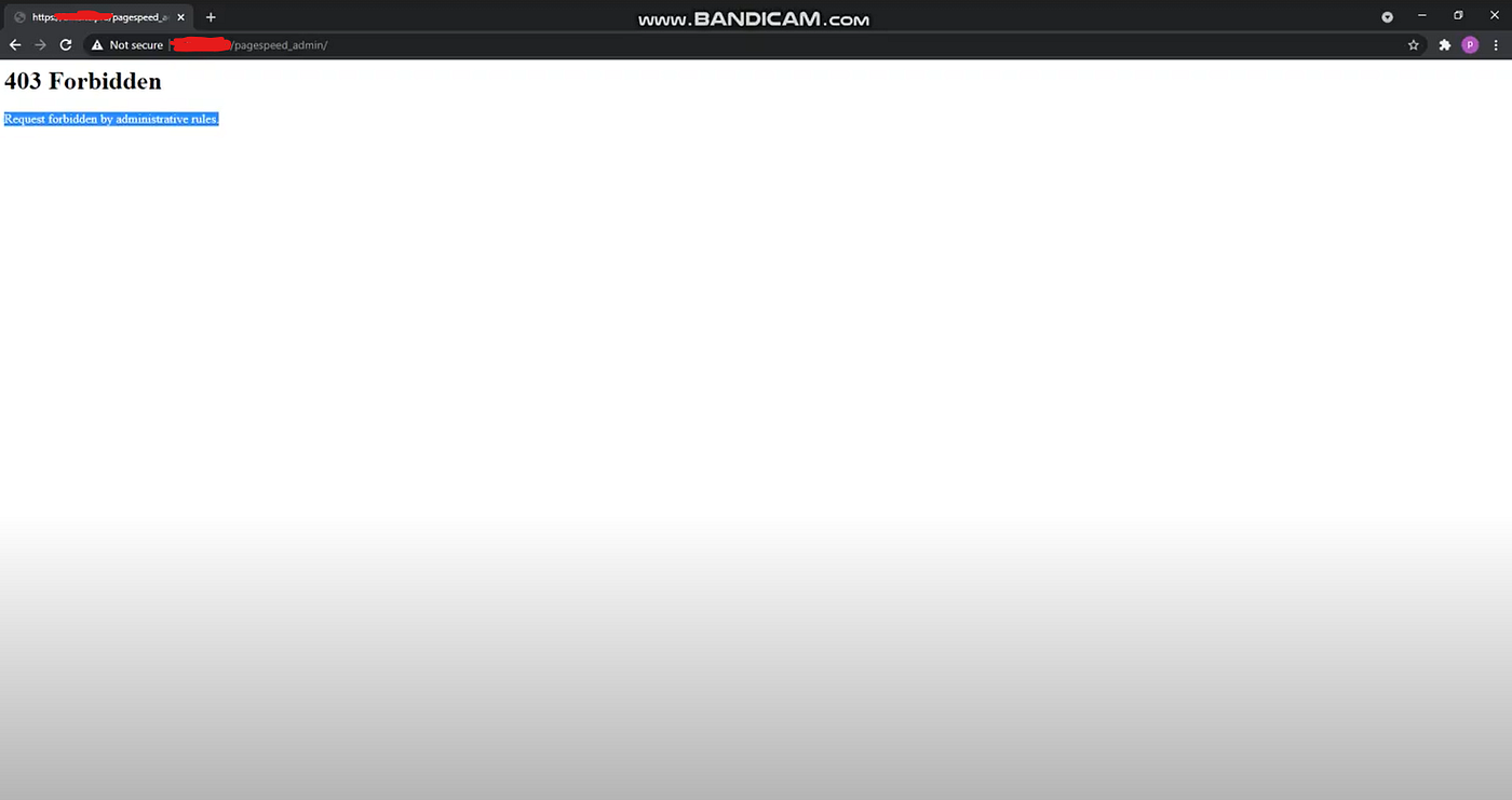 B'z 会報 be with 73-144号 Bypassing 403 Protection To Get Pagespeed Admin Access | by