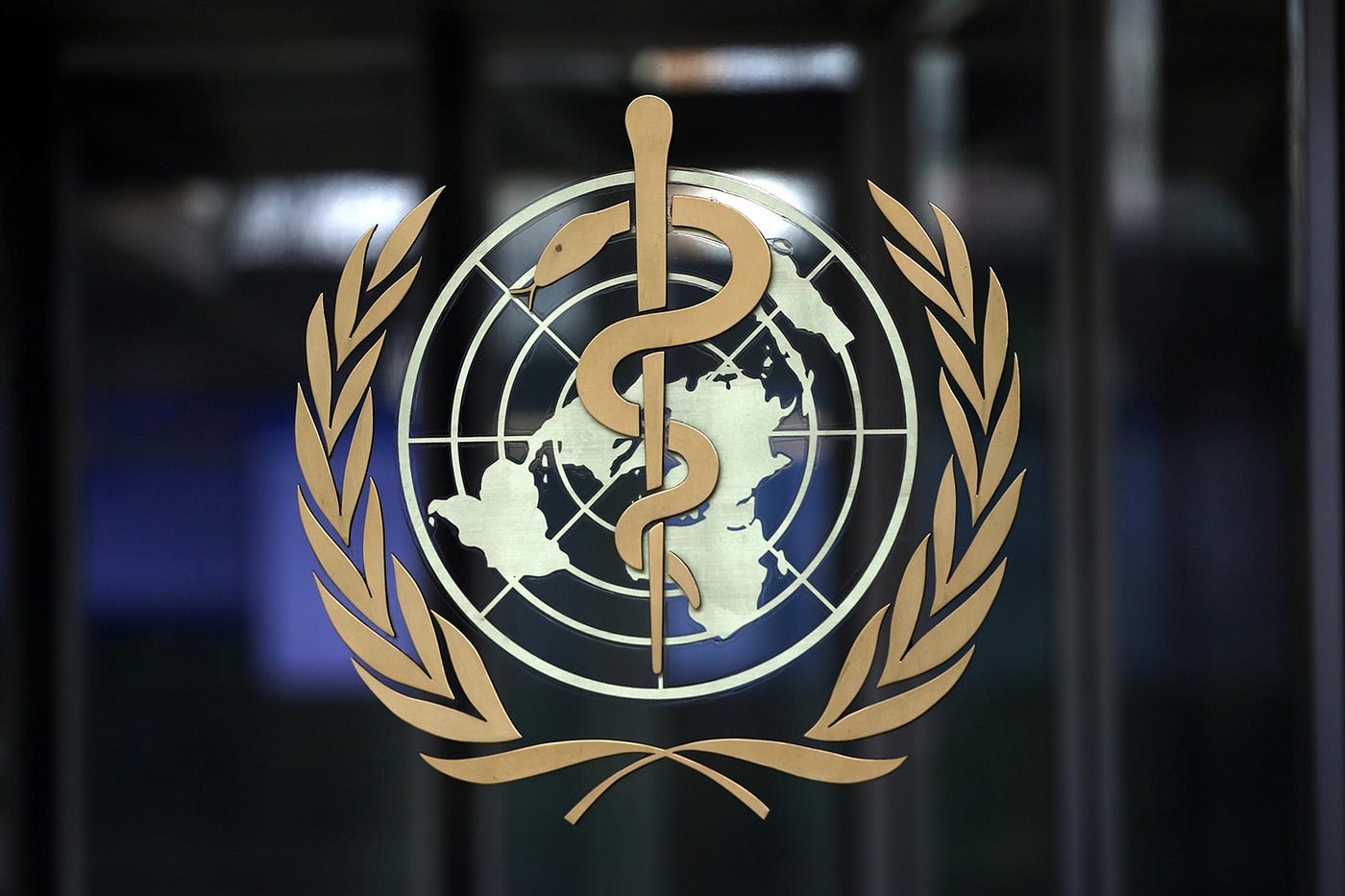 International Health Organization