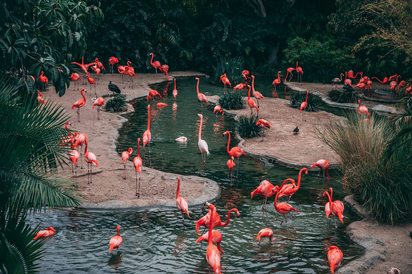 @matthewcabret1 on Unsplash