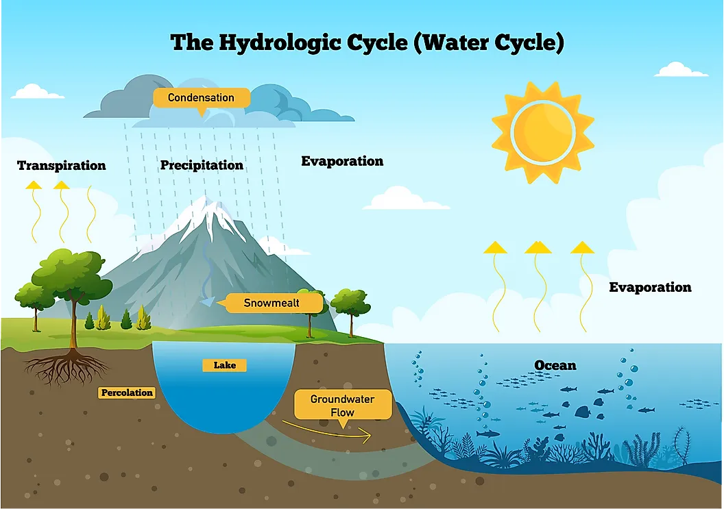 Hydrology Insight: From Basics to Conceptual Models and Hydrological  Modelling, by Md. Asifur Rahman