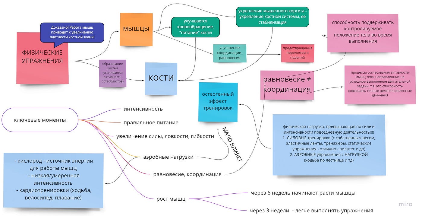 Мышцы, виды упражнений, особенности при несовершенном остеогенезе . | by  Надежда Епишина | Medium