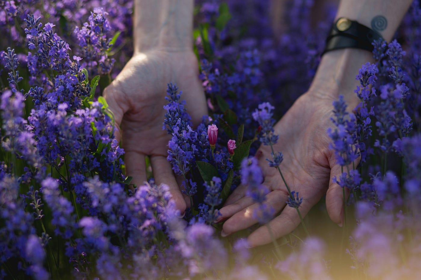 Photo by Serghey Savchuk