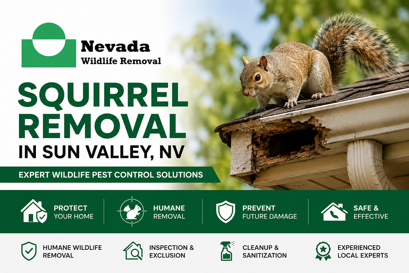 Professional Squirrel Removal in Sun Valley, NV for Safe Wildlife Pest Control