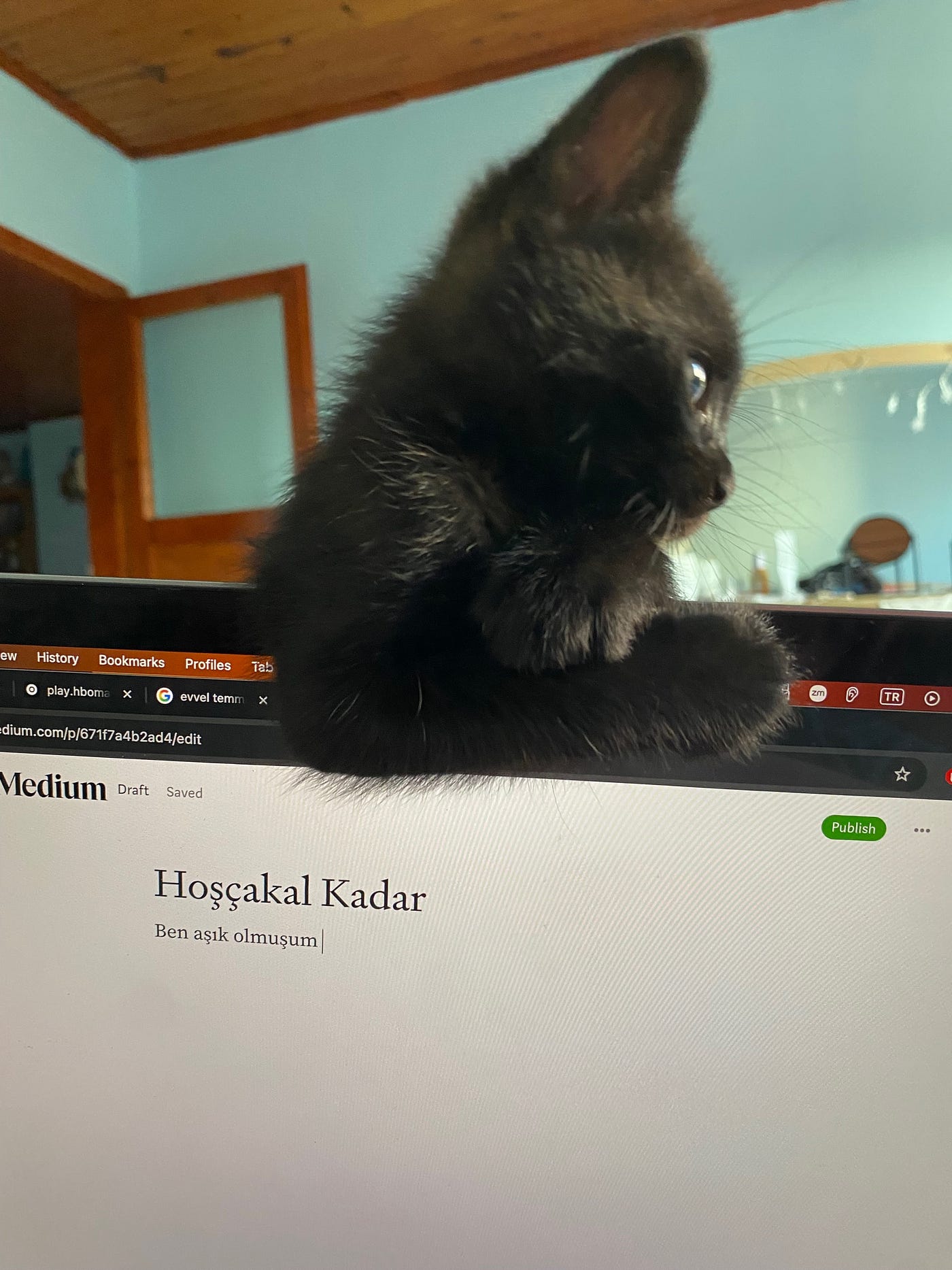 Hoşçakal Kadar