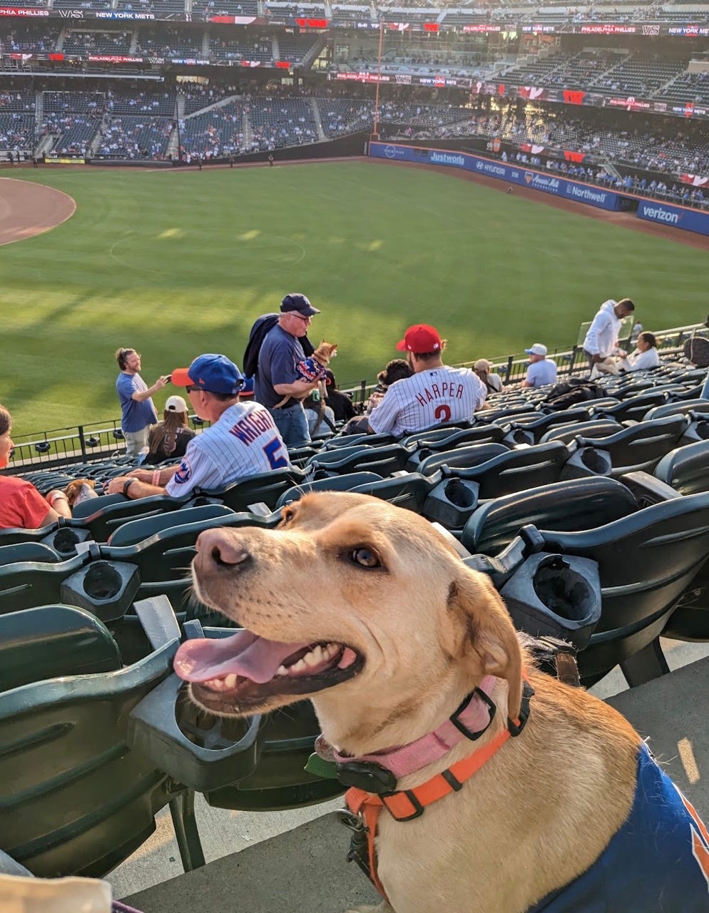 Bark in the Park with the Mets