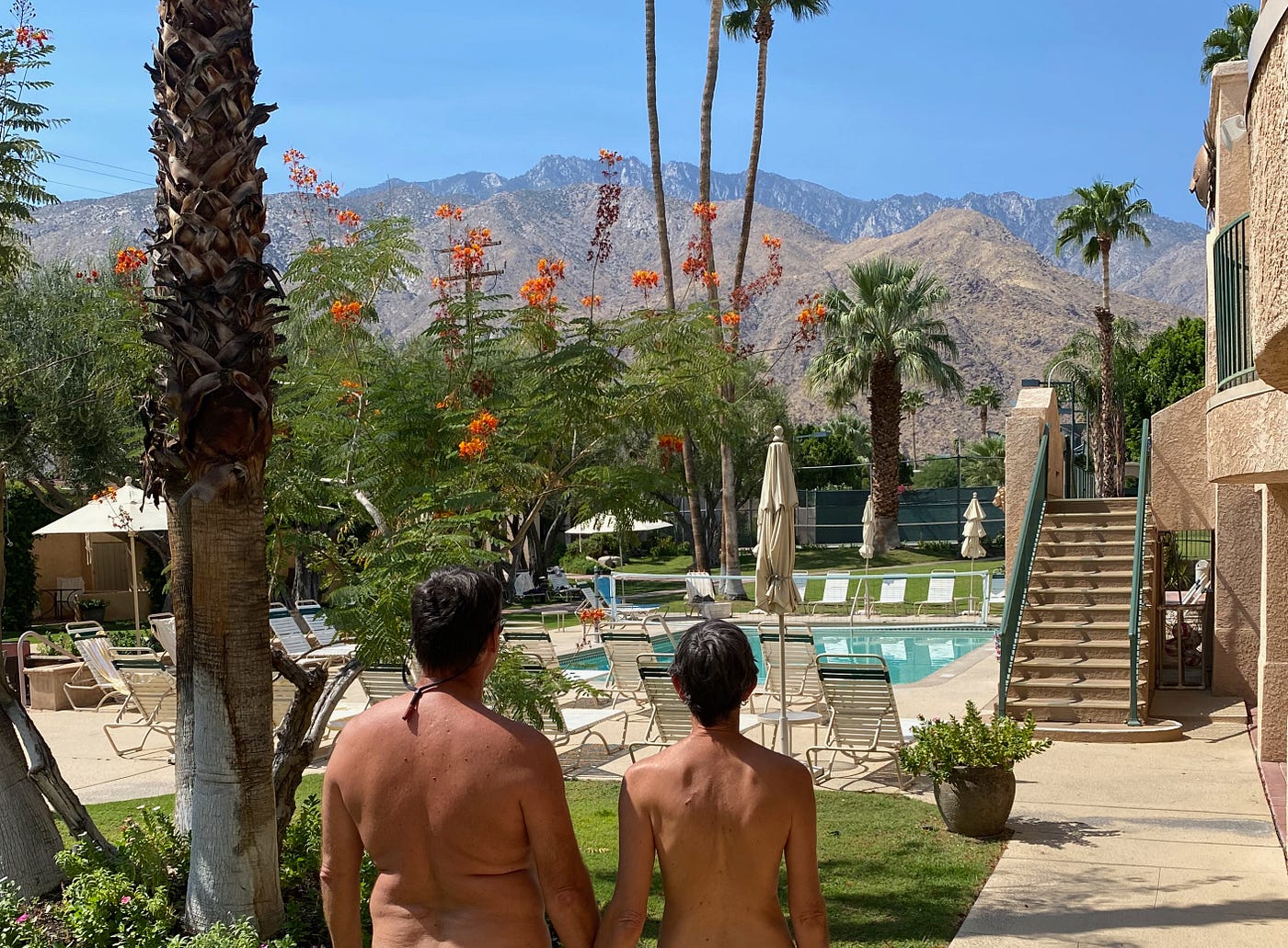 A-Z TRAVEL — Naturist Edition D is for Desert Sun Resort, Palm Springs, California by Dan Carlson Meandering Naturist Globetrotters Medium image
