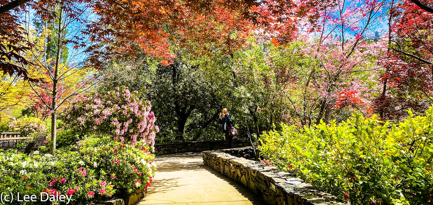 Calaveras County: A Place for all Seasons | by Lee Daley | BATW Travel  Stories | Medium