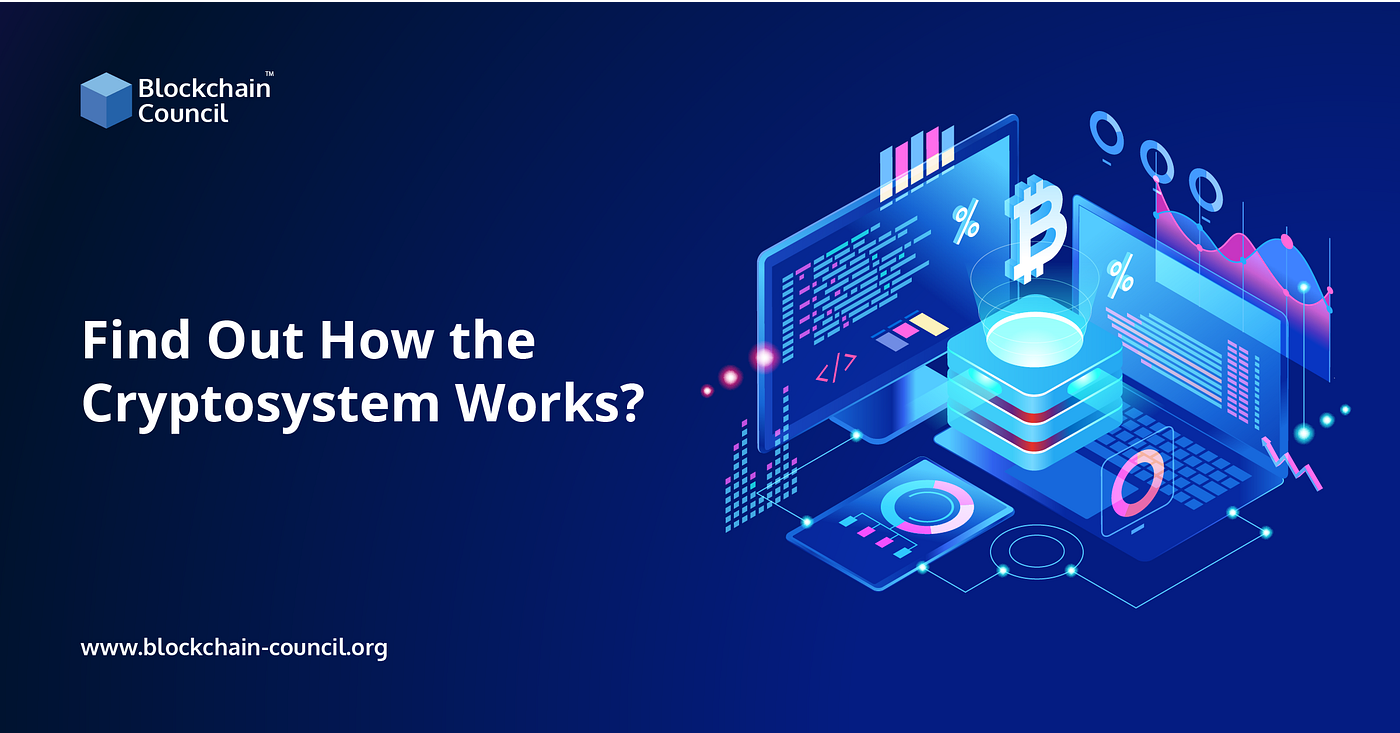 Find Out How the Cryptosystem Works? | by Michael Willson | Medium