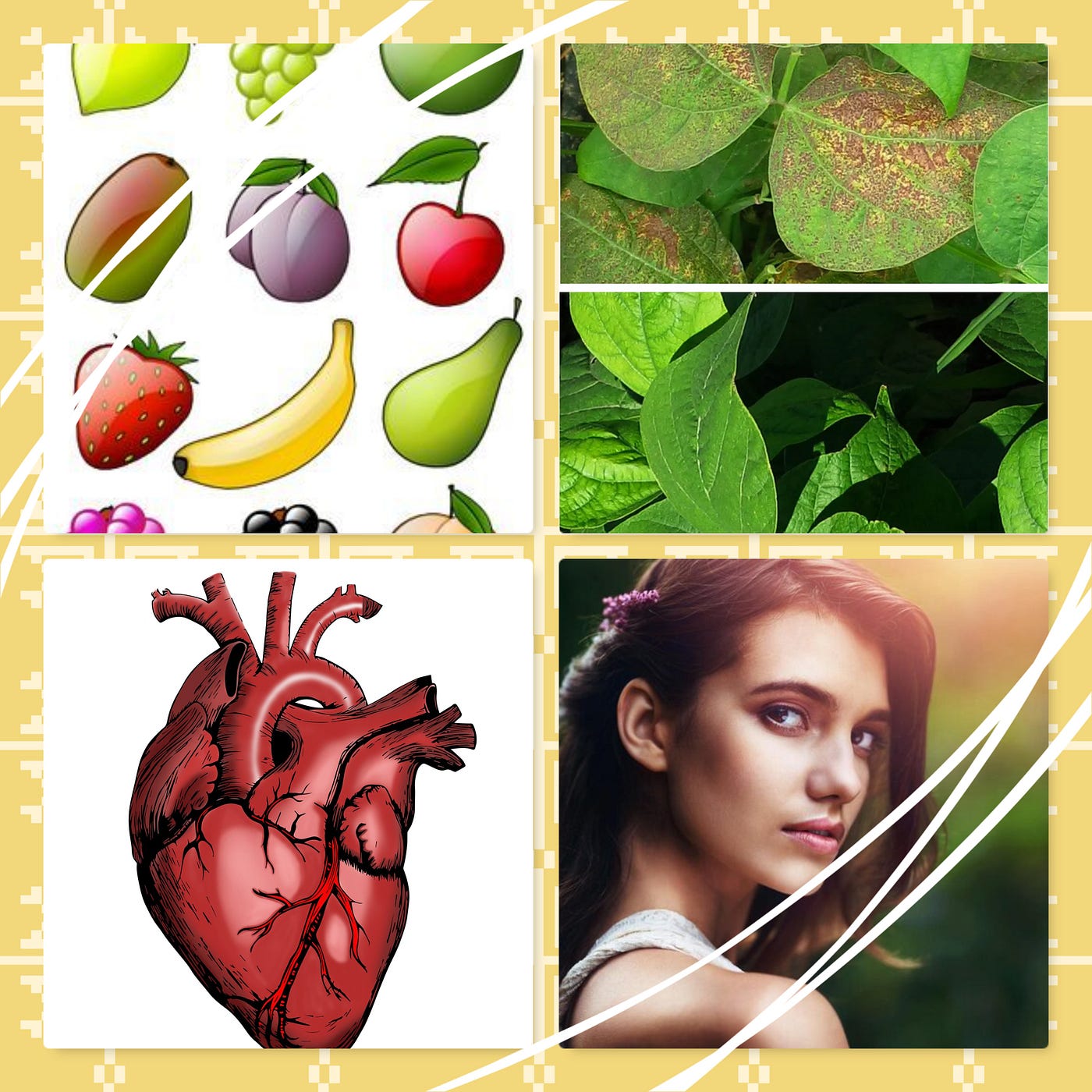 Wondered with the Crazy Shapes of Fruits: A recipe of Biology & AI
