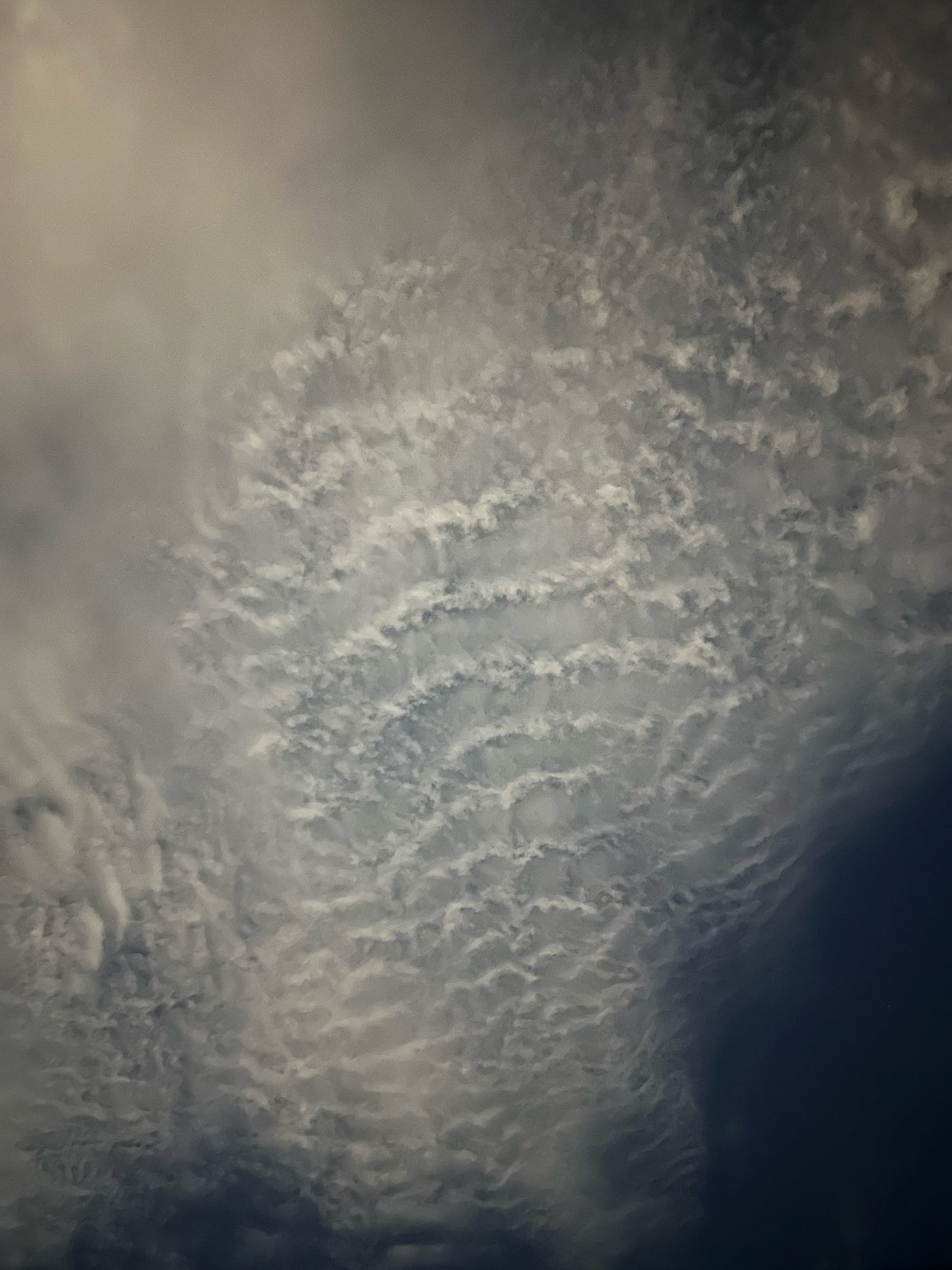 Céu amazônico além-mar
