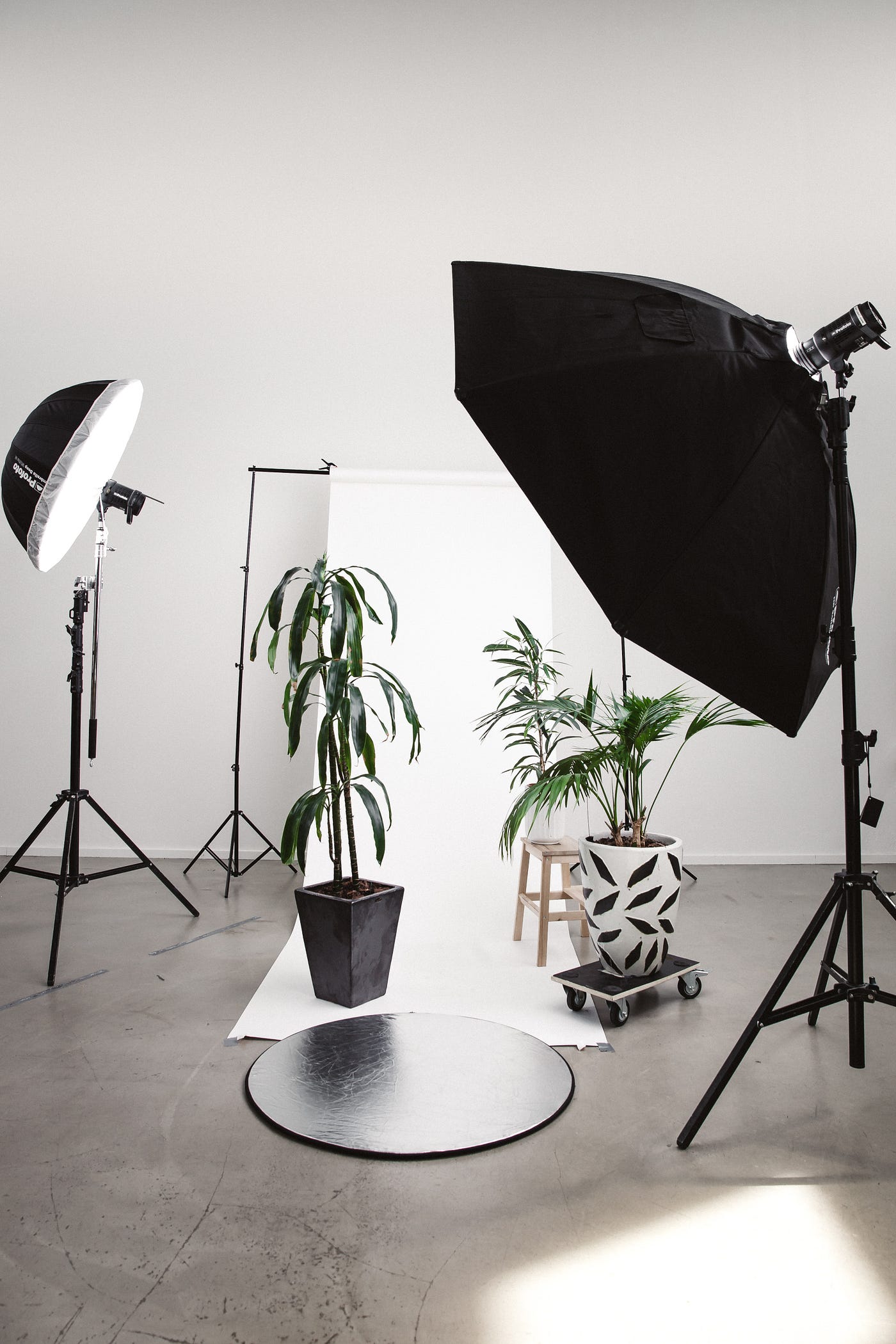 Softbox, Octabox o beauty dish: ¿Cuál es mejor para mí?
