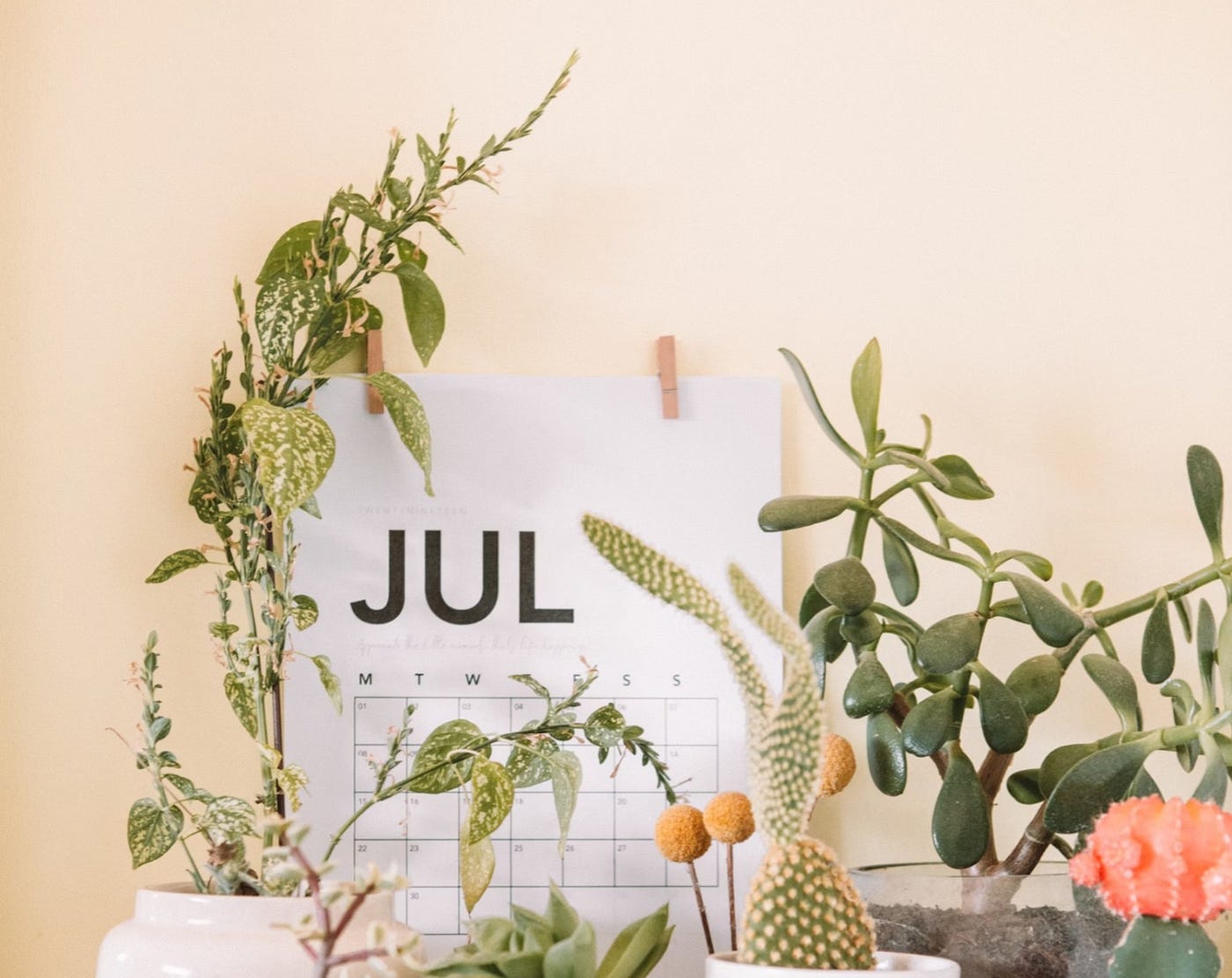 Juli 2024