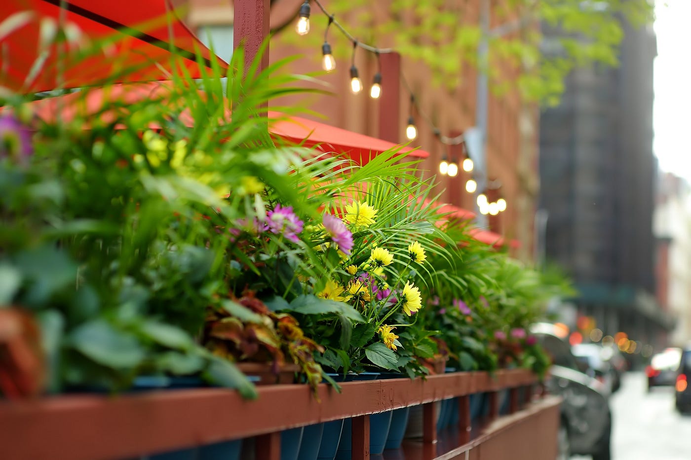 What are the top-rated flower delivery services in New York City?