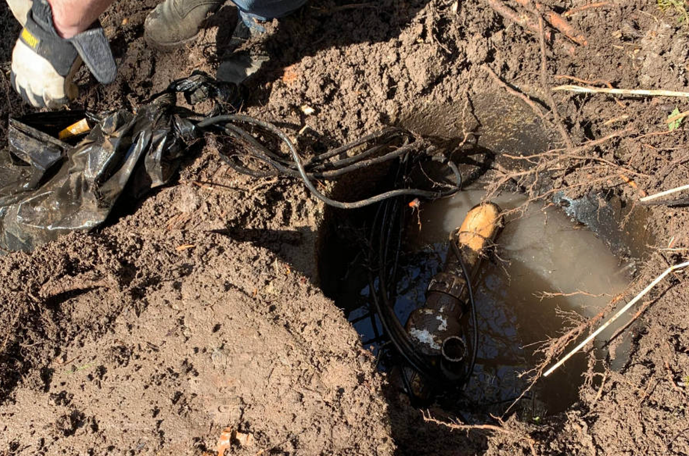 What Are The Signs Of A Septic System Failure?