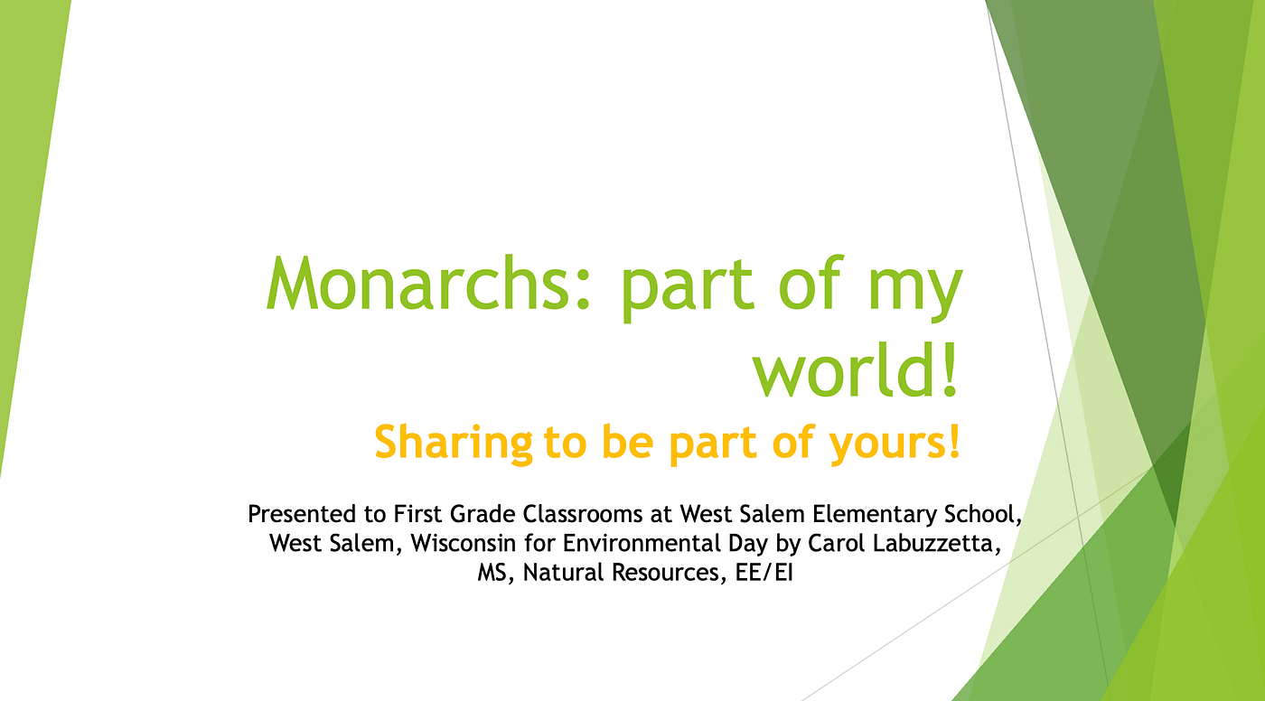 Screen shot of presentation title slide by author, Carol Labuzzetta.
