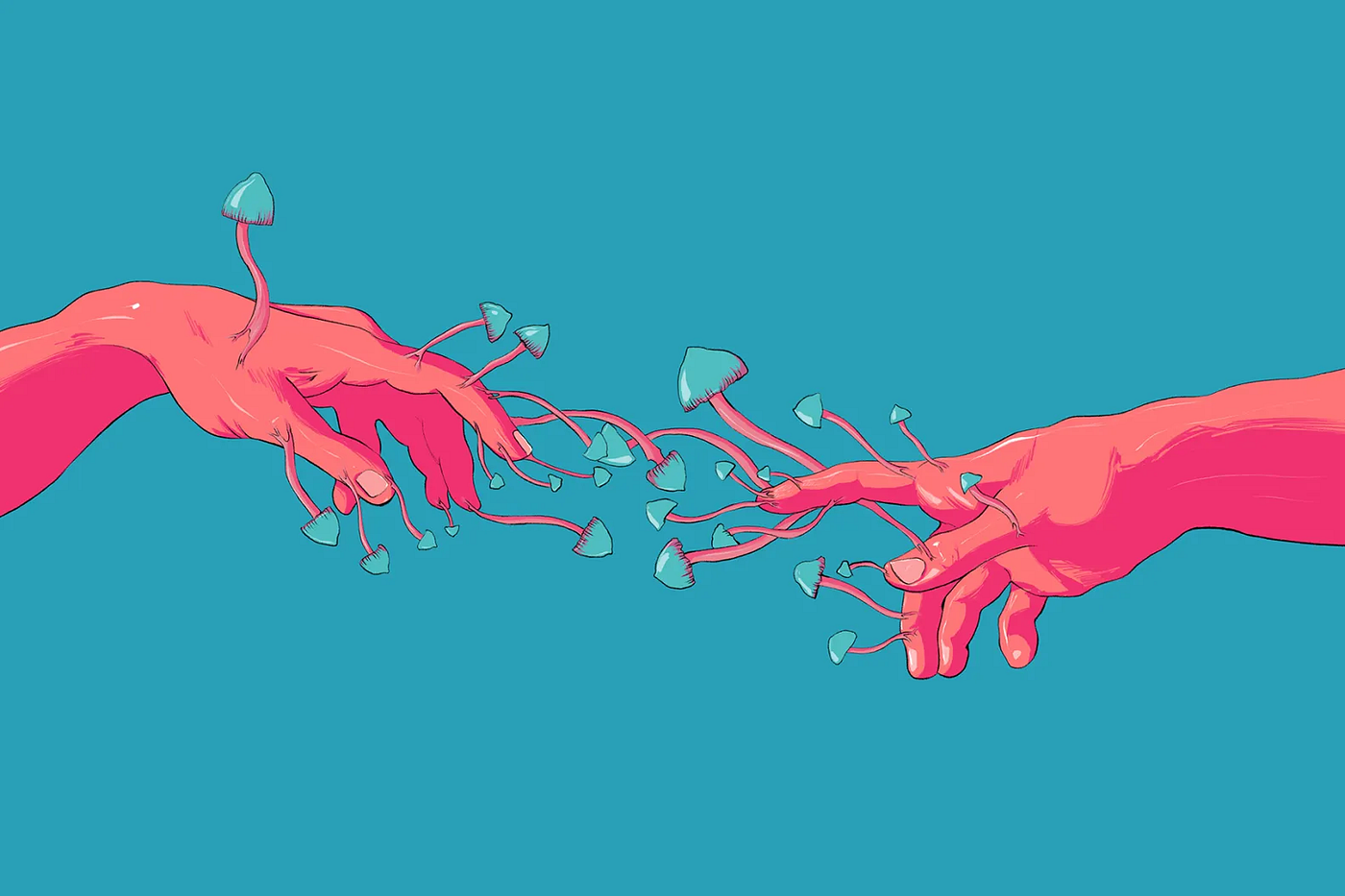 ILLUSTRATION BY CAROLINA RODRÍGUEZ FUENMAYOR FOR ROLLING STONE