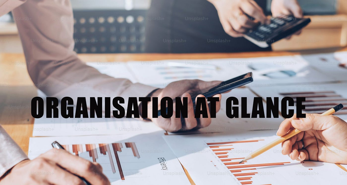 ORGANISATION AT GLANCE