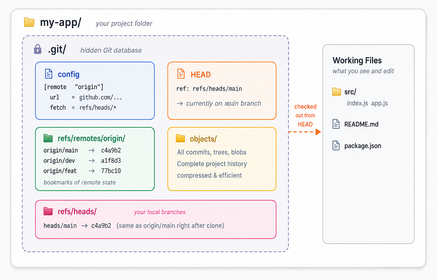 Figure 2: Inside a freshly cloned repository. The .git folder holds the entire history and all configuration. The working files are what Git has checked out for you to edit.
