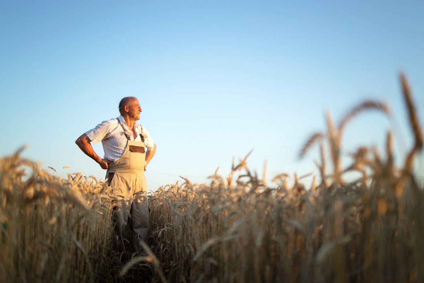 Can I purchase wheat directly from a farmer when I want to run a flour mill?