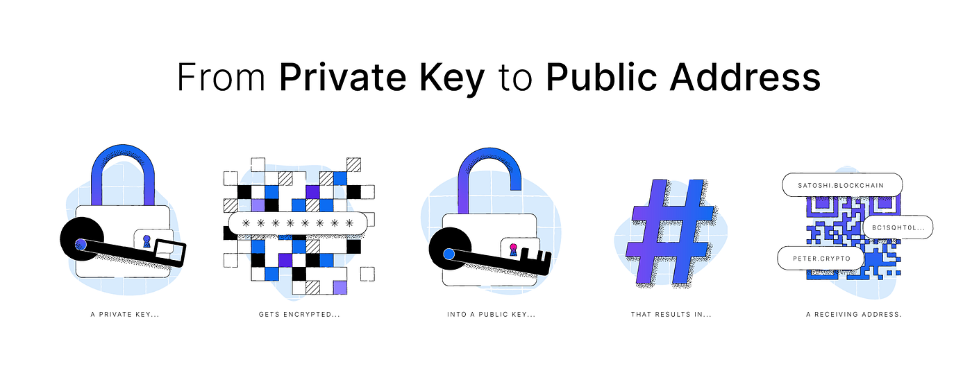 Crypto Wallets, Explained. What is a crypto wallet? | by Blockchain.com | @ blockchain | Medium