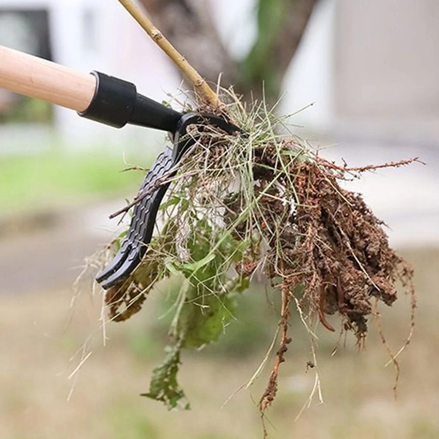 A sturdy stainless steel weeding head tool placed on garden soil